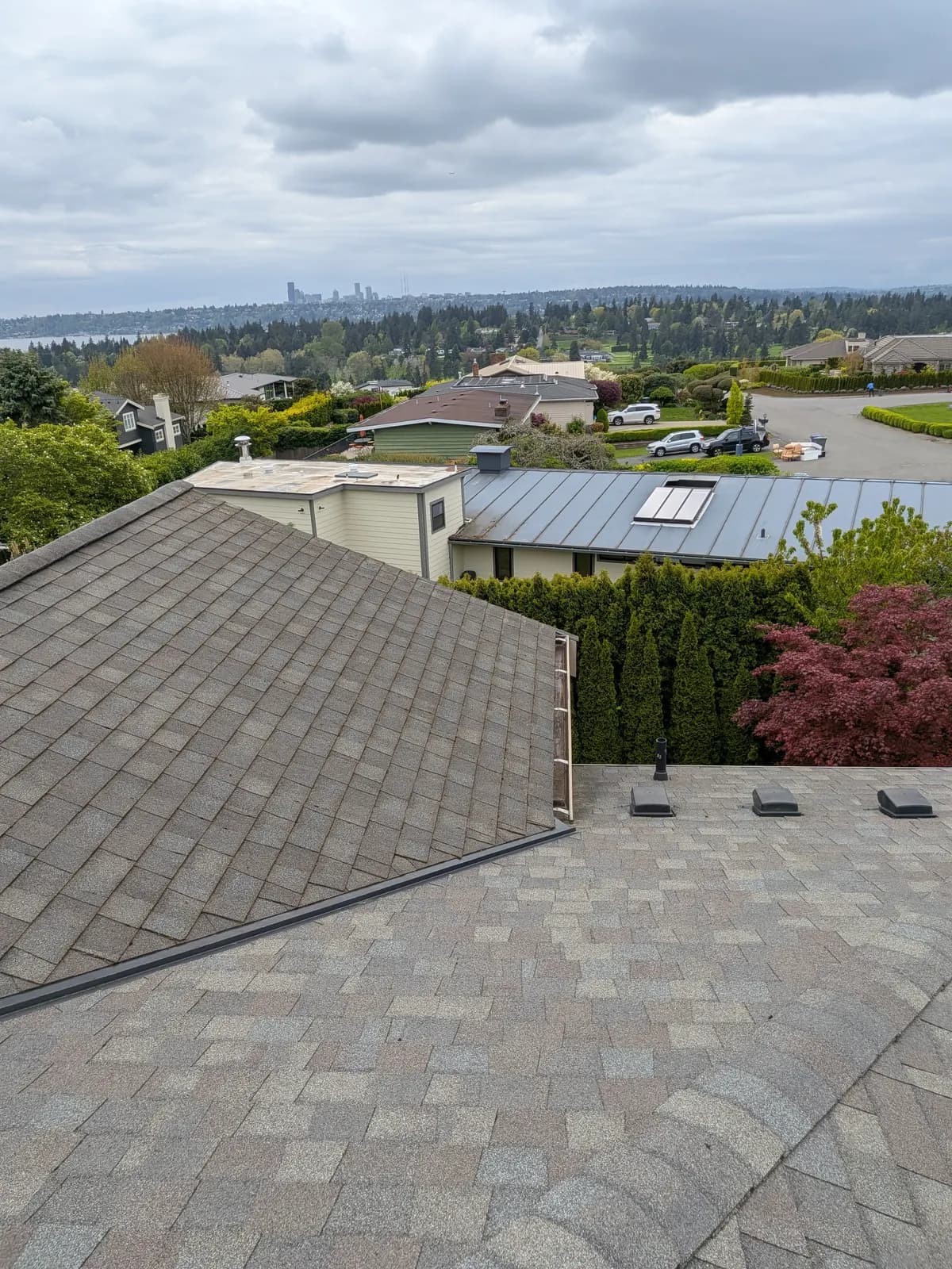 Clean shingle roof with the city skyline behind — our work