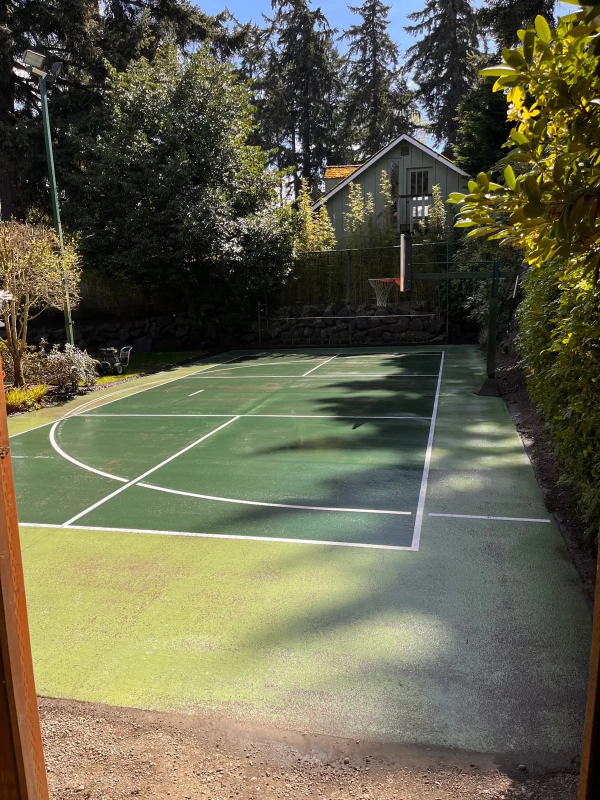 Backyard sport court soft washed back to a deep green with crisp white lines — our work
